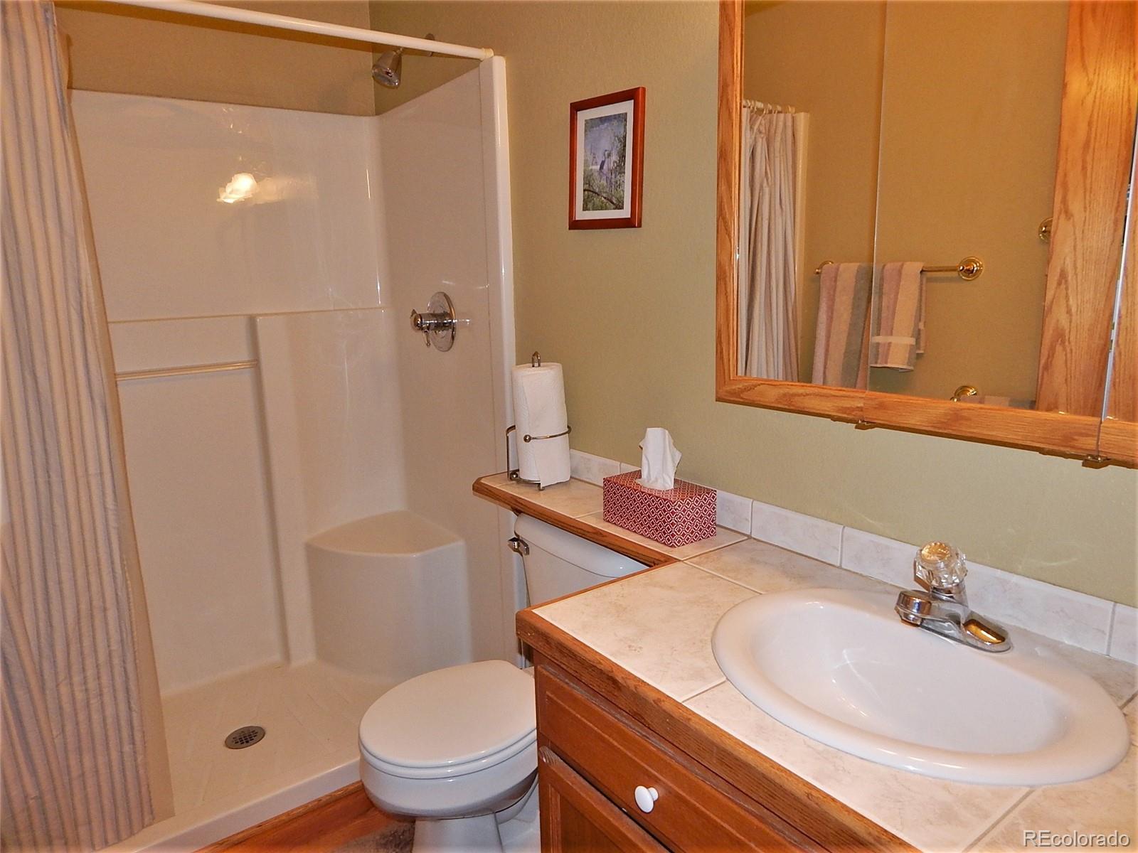 1721 Mullenville Road Fairplay, CO 80440 - Photo 21 of 40 Gallery Image 21