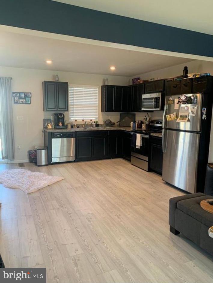 247 Lady Bug Drive Dover, DE 19901 - Photo 7 of 10