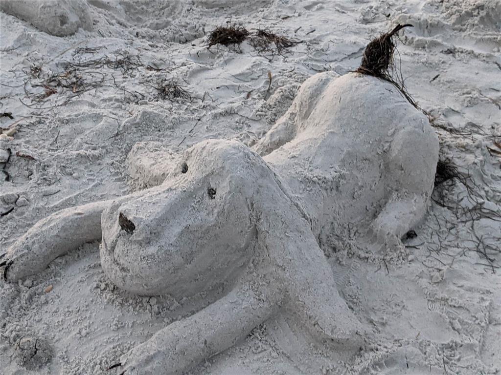 825 East Gulf Boulevard, Unit 110 Indian Rocks Beach, FL 33785 - Photo 73 of 75