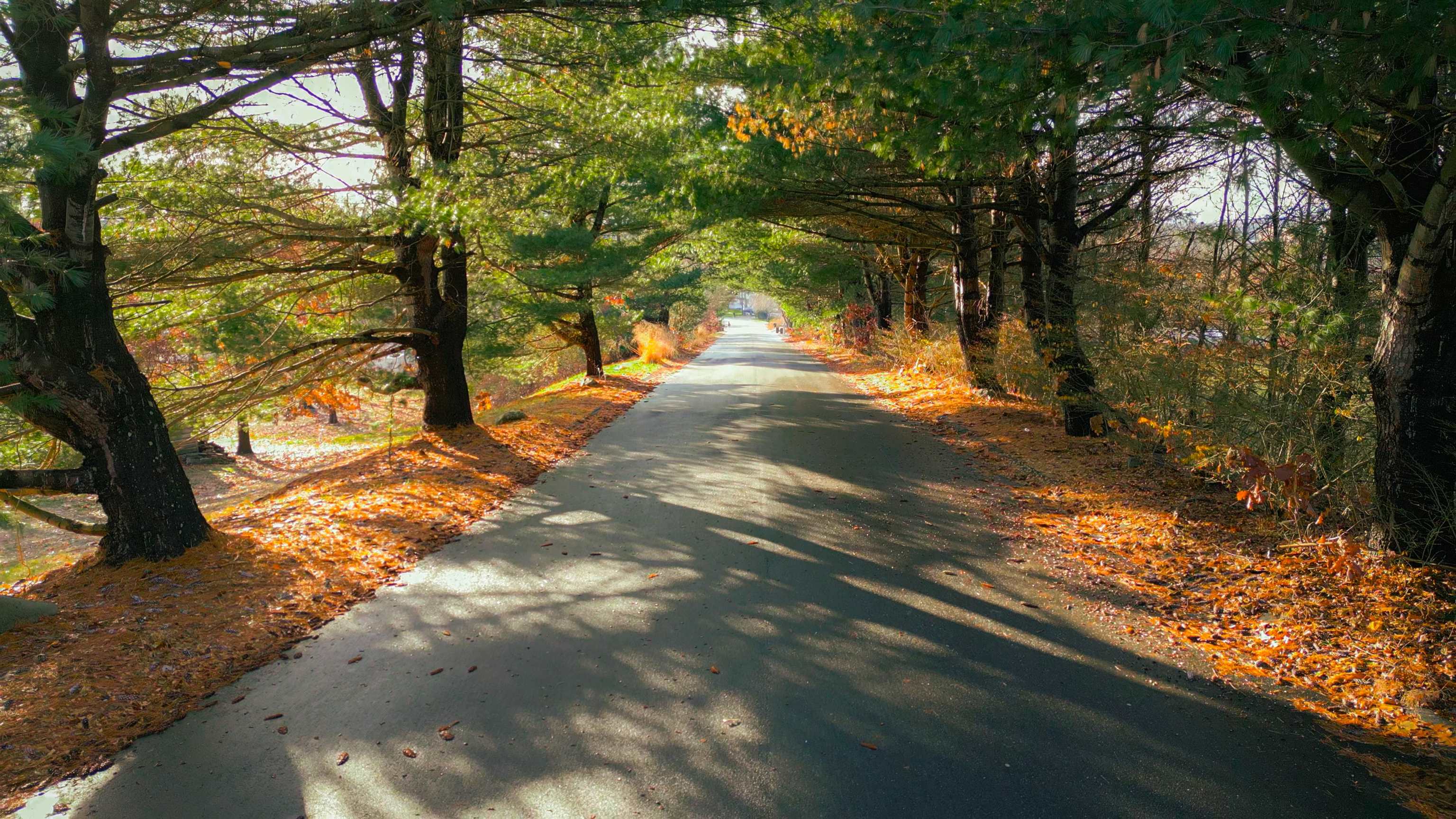 17 Riverview Circle Litchfield, NH 03052 - Photo 22 of 29