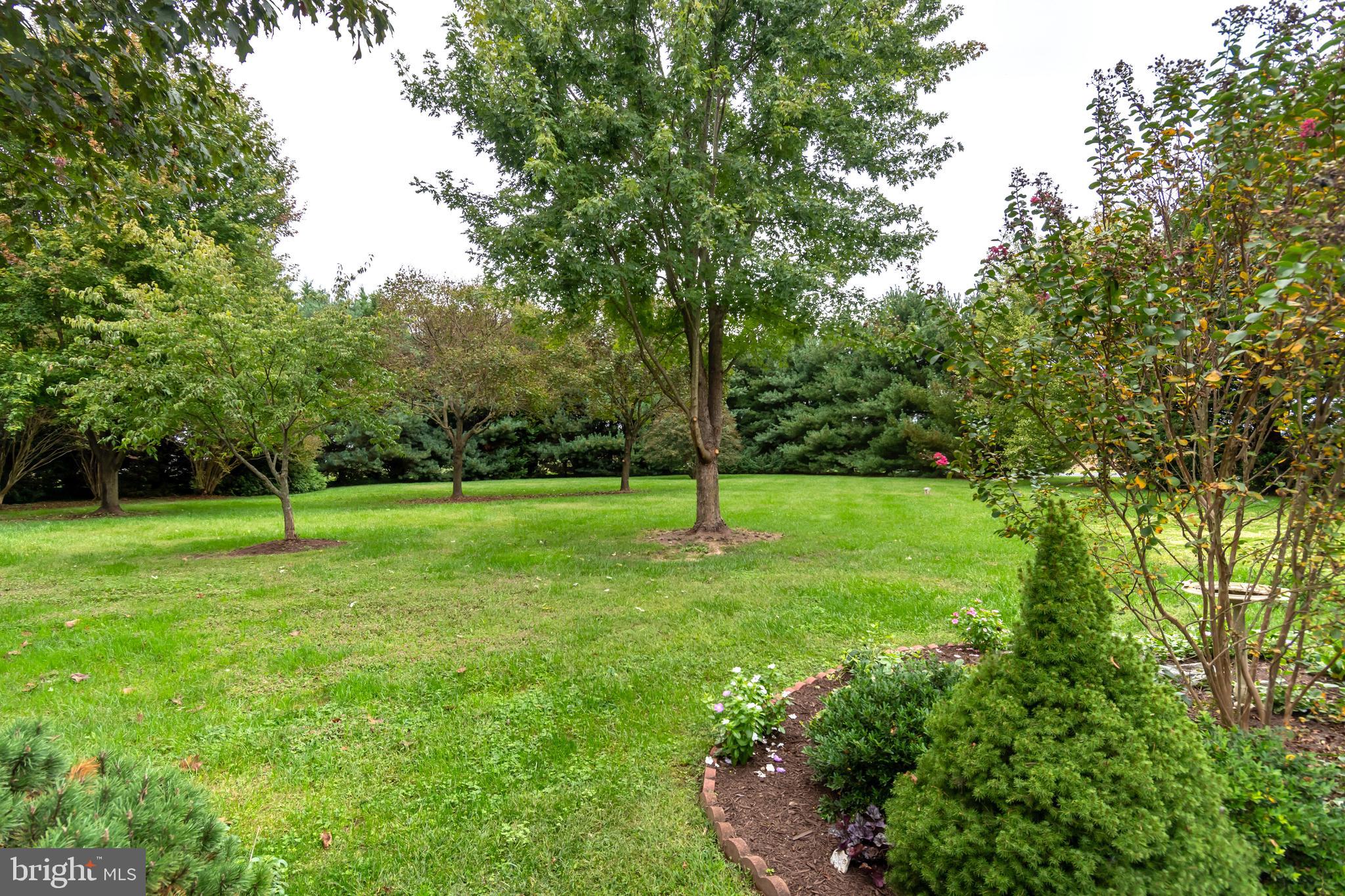 8475 Deer Run Road Denton, MD 21629 - Photo 10 of 51 Gallery Image 10
