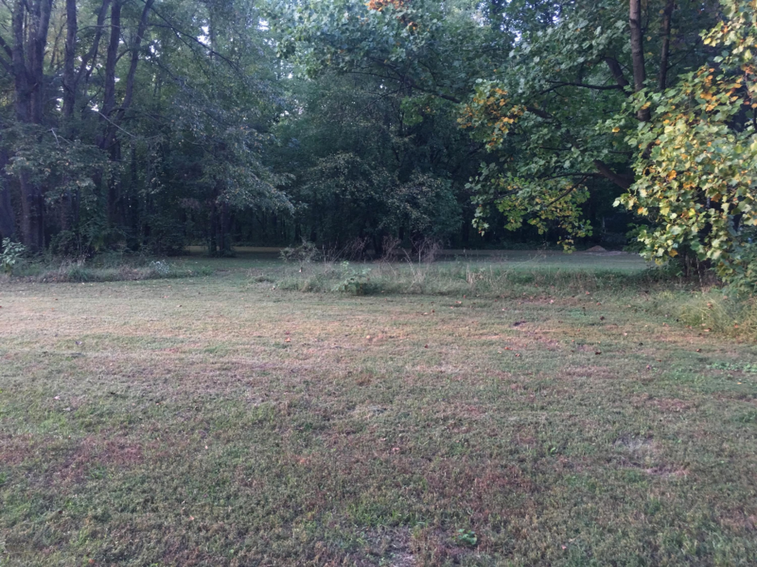 61488 Indian Lake Road Niles, MI 49120 - Photo 30 of 37 IMG_6868