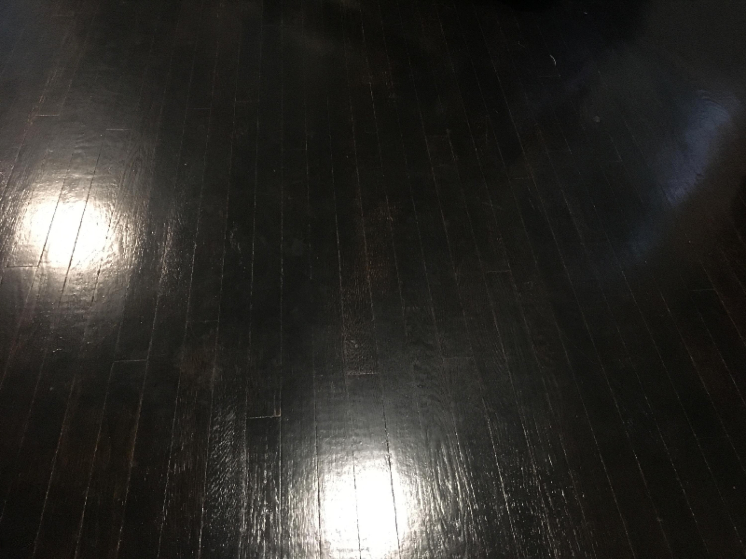 61488 Indian Lake Road Niles, MI 49120 - Photo 6 of 37 Refinished floors