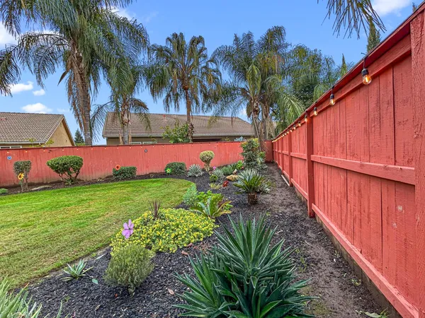 a view of a backyard with potted plants