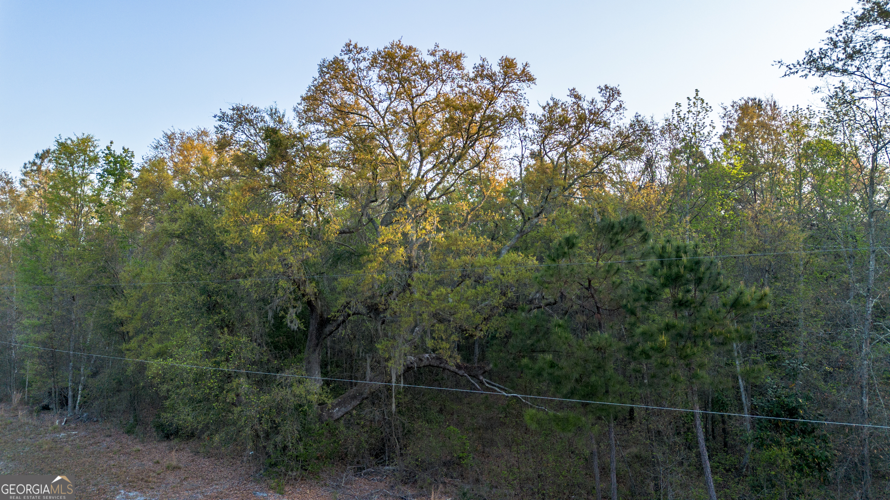0 Little McCall Road Rincon, GA 31326 - Photo 9 of 12 a view of a city and trees