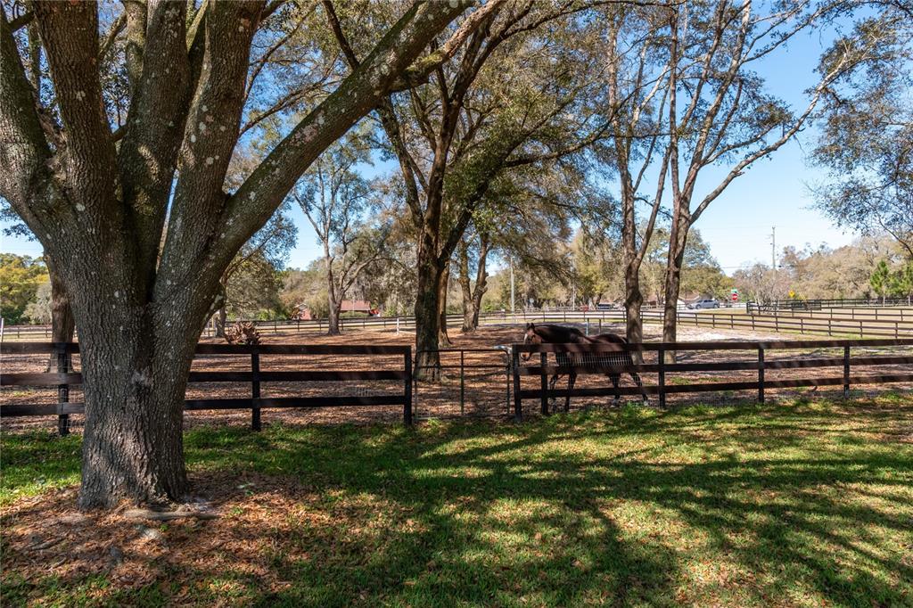 10 Carry Back Road Ocala, FL 34482 - Photo 56 of 69 a view of outdoor space with seating