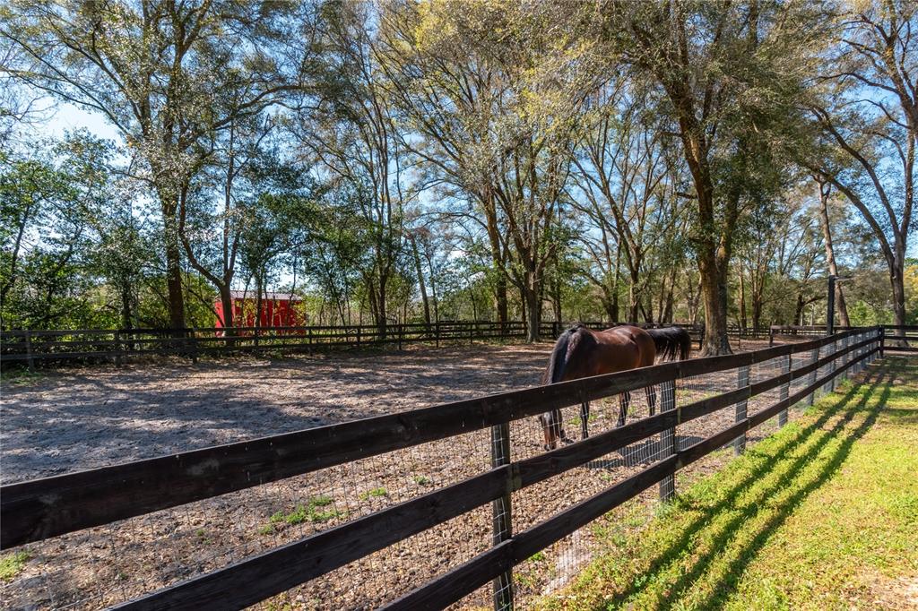 10 Carry Back Road Ocala, FL 34482 - Photo 59 of 69 a view of street with wooden fence
