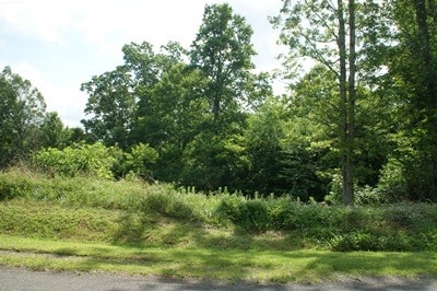 Tbd Gambetta Road, Unit 72 Galax, VA 24333 - Photo 1 of 1 Gallery Image 1