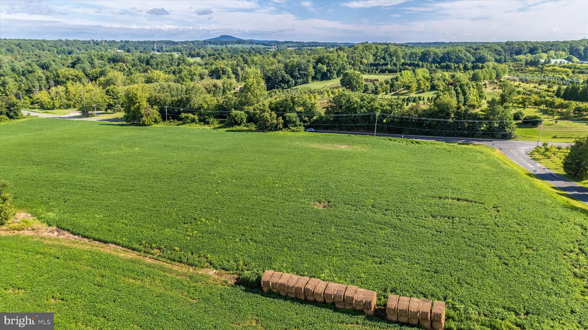 19101 Darnestown Road Poolesville, MD 20837 - Photo 20 of 29 a view of a lush green field