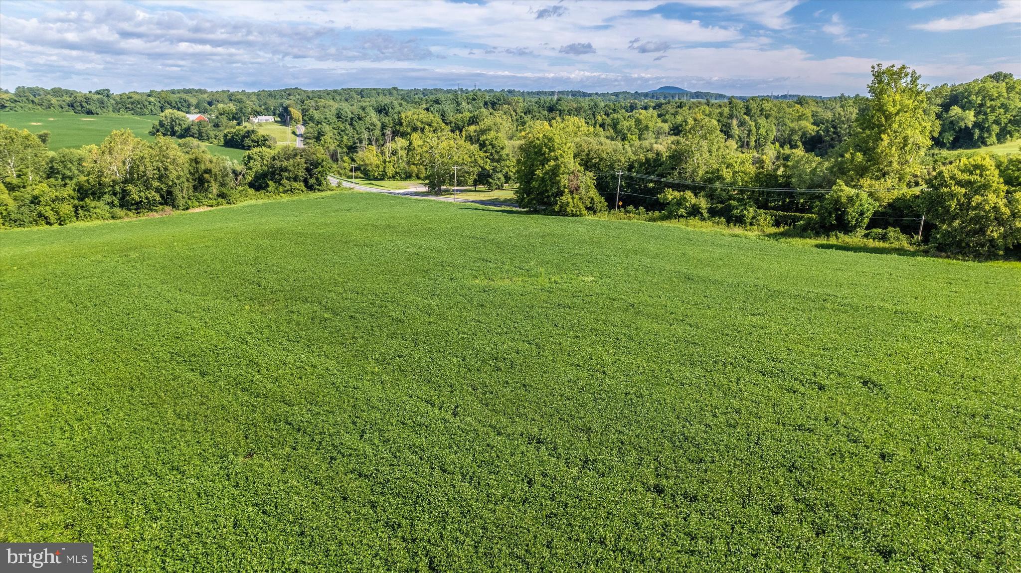 19101 Darnestown Road Poolesville, MD 20837 - Photo 21 of 29 a view of a garden