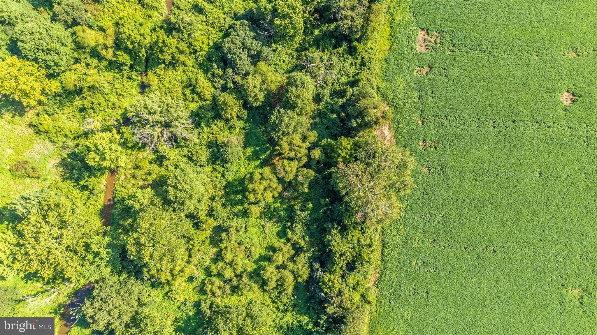 19101 Darnestown Road Poolesville, MD 20837 - Photo 24 of 29 a view of a lush green forest