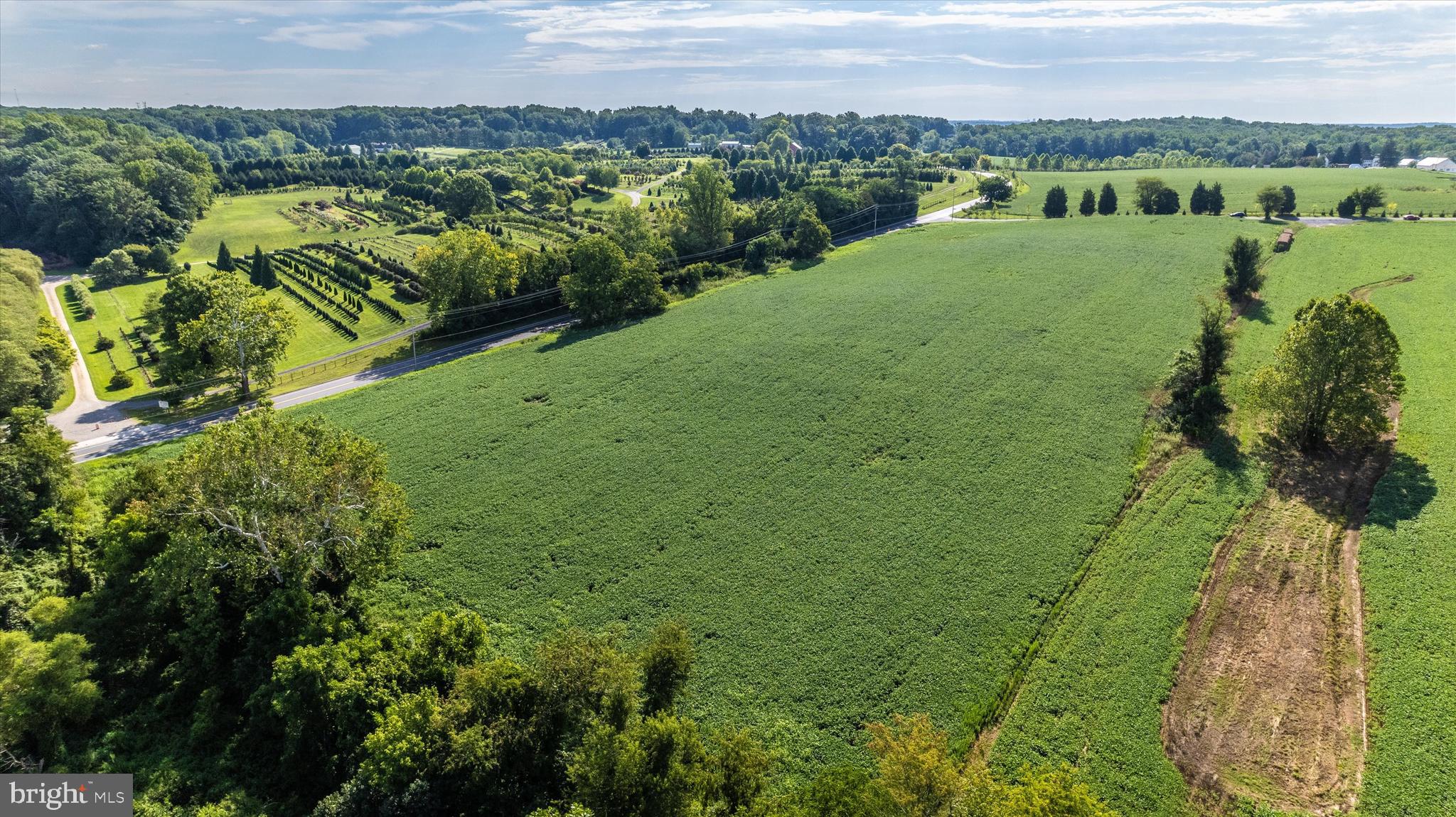 19101 Darnestown Road Poolesville, MD 20837 - Photo 5 of 29 a view of a green yard with a houses
