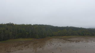 DJI_0233