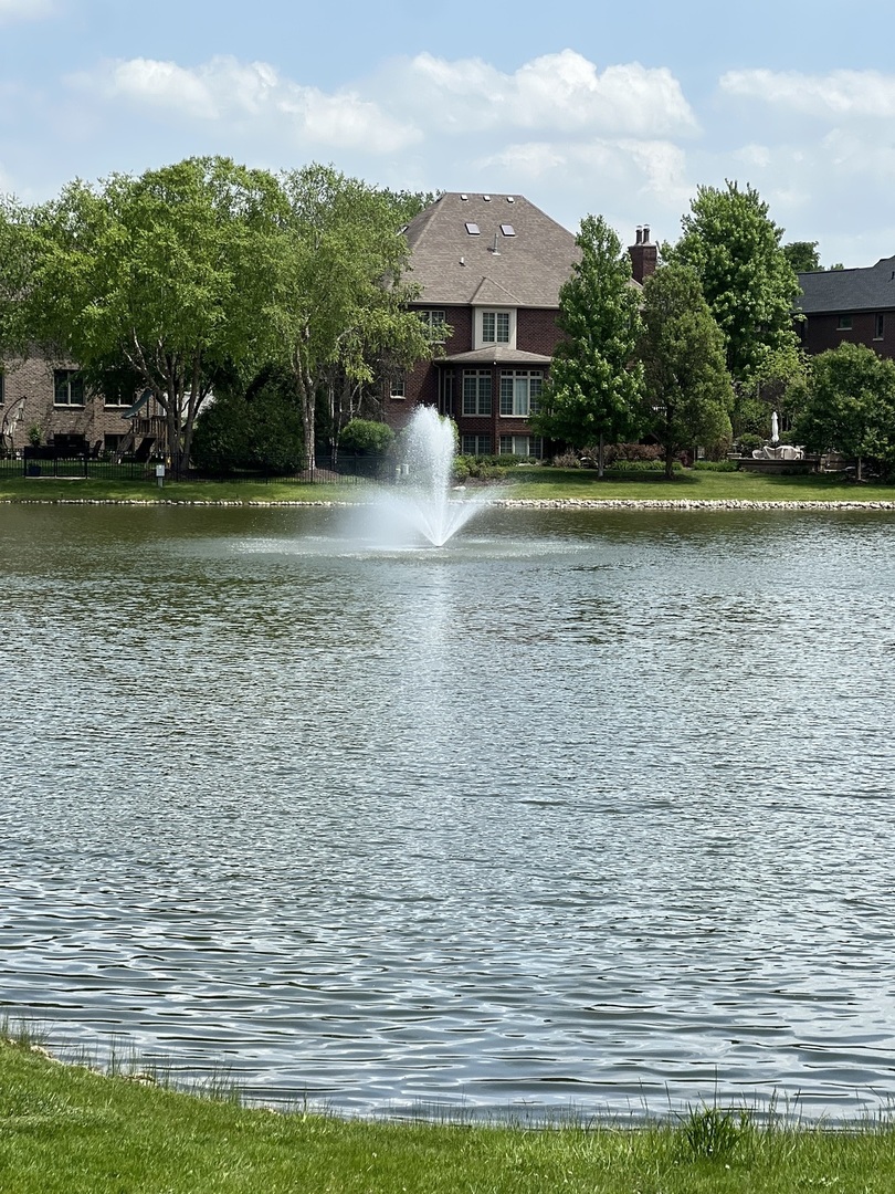 613 Rookery Lane Joliet, IL 60431 - Photo 13 of 19 Gallery Image 13