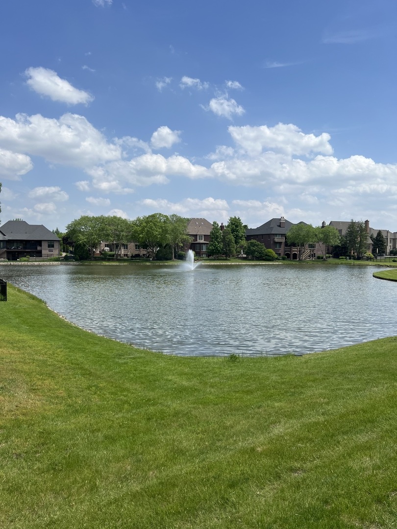 613 Rookery Lane Joliet, IL 60431 - Photo 14 of 19 Gallery Image 14