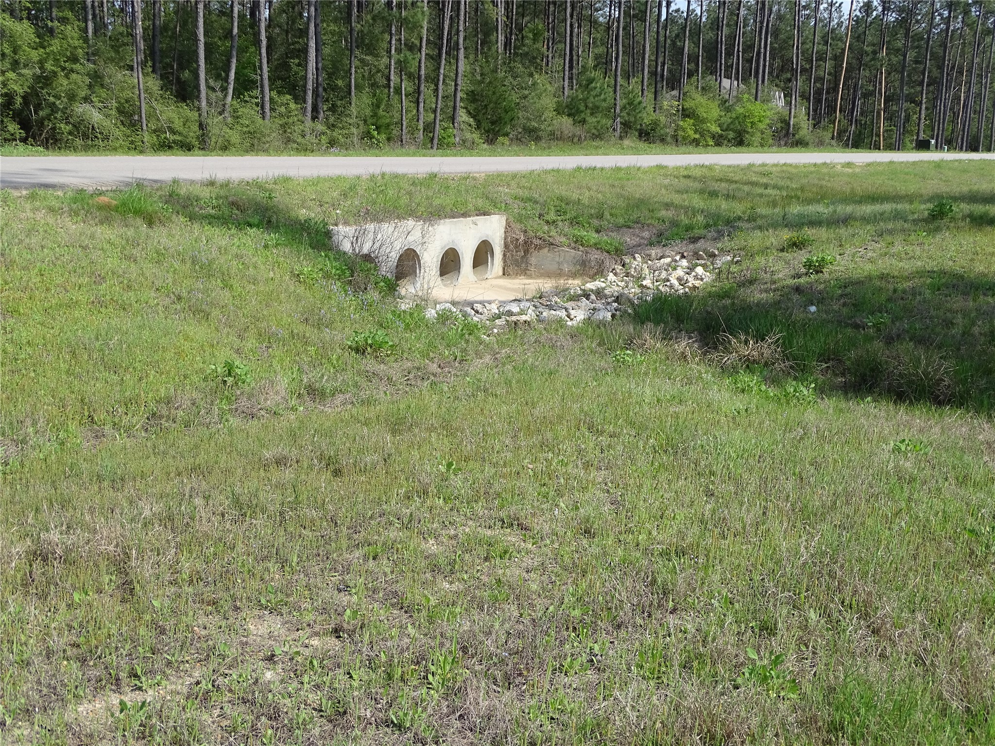 10774 Ruger Road Willis, TX 77378 - Photo 13 of 15 a view of a park with large trees