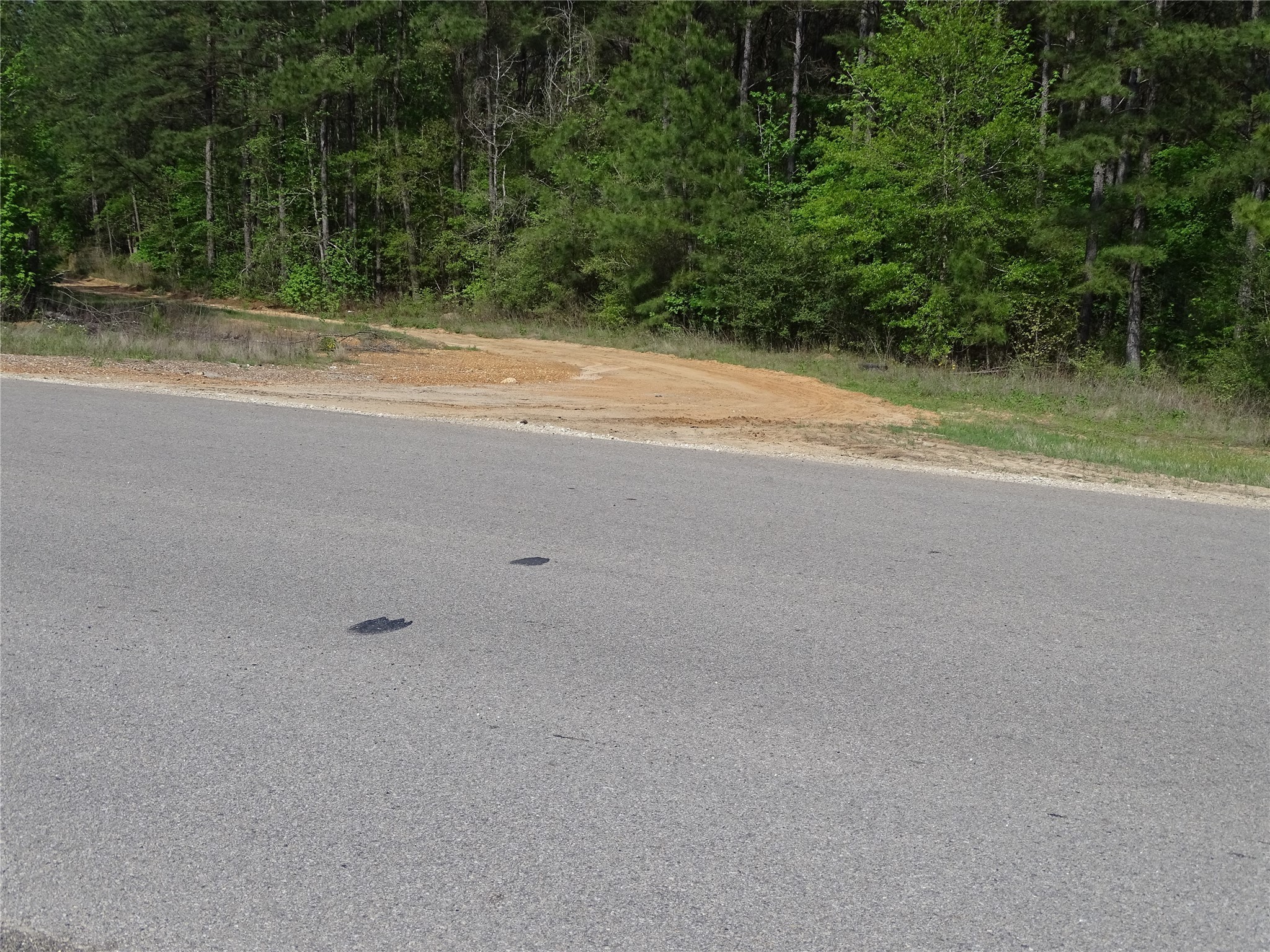 10774 Ruger Road Willis, TX 77378 - Photo 14 of 15 a view of a field with a trees