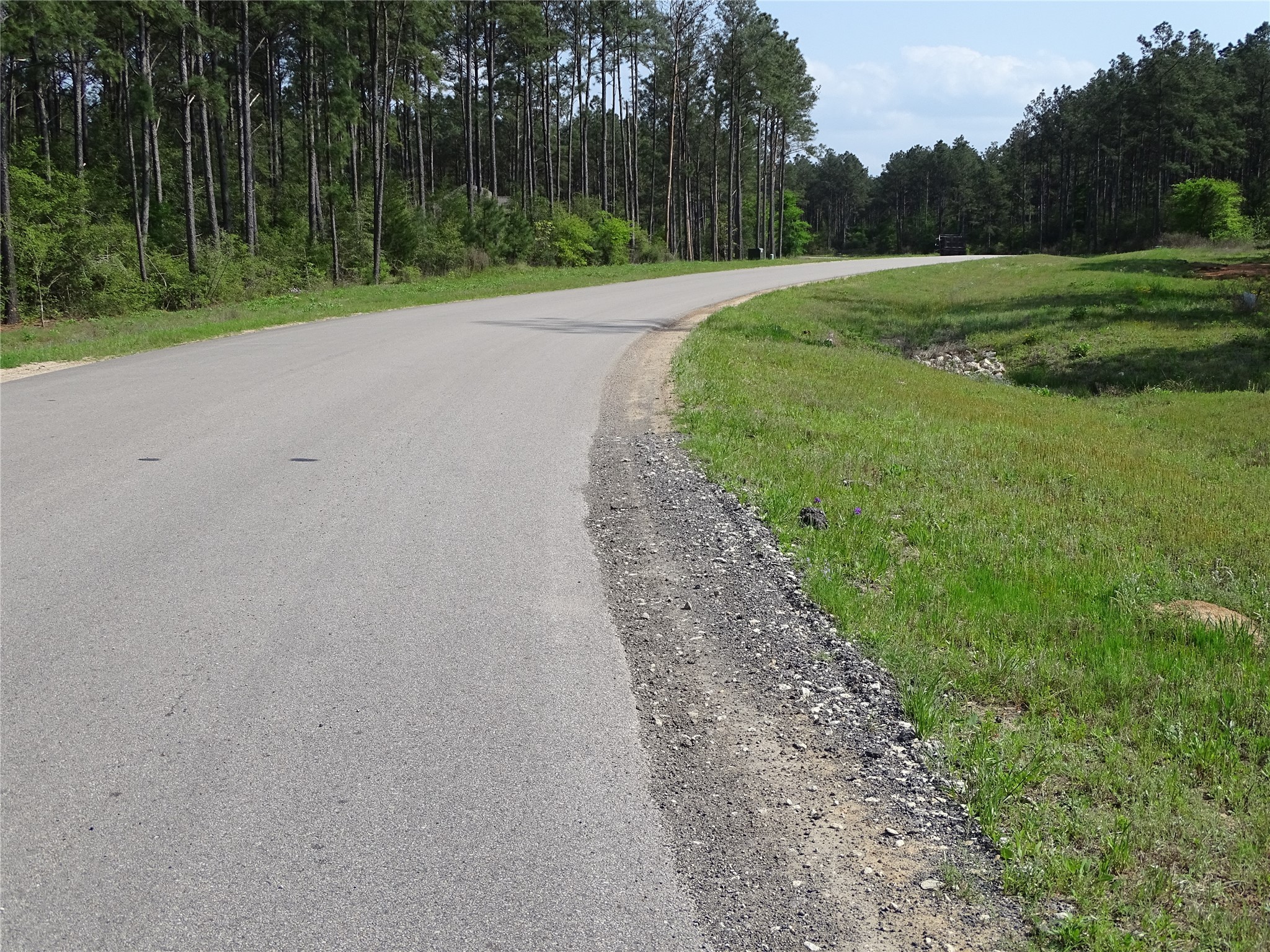 10774 Ruger Road Willis, TX 77378 - Photo 15 of 15 a view of a park