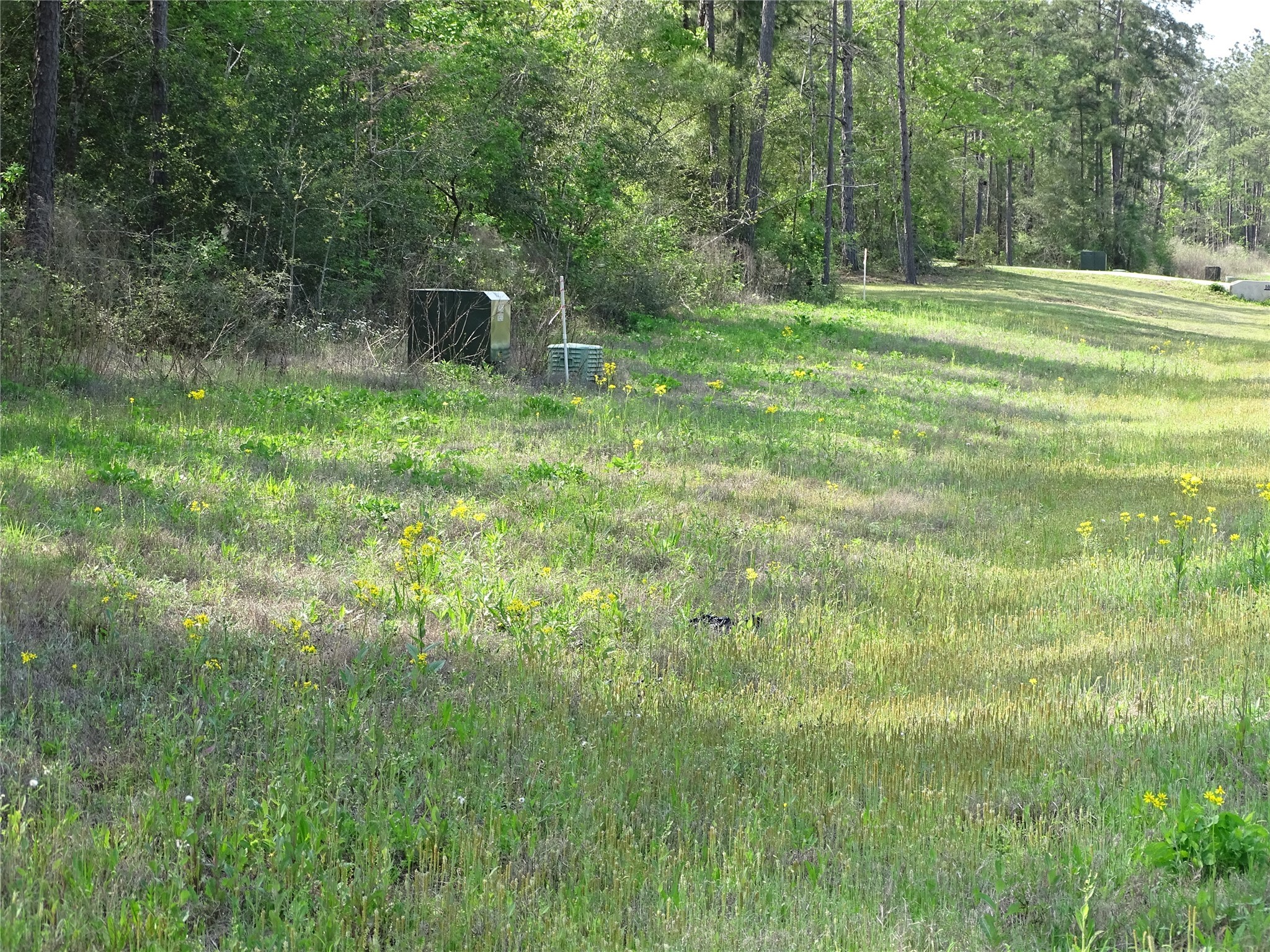 10774 Ruger Road Willis, TX 77378 - Photo 3 of 15 a backyard of a house with lots of green space
