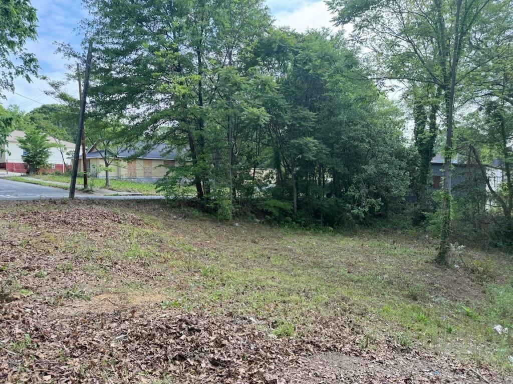 459 Paines Avenue Northwest Atlanta, GA 30318 - Photo 11 of 23 a view of a yard with trees