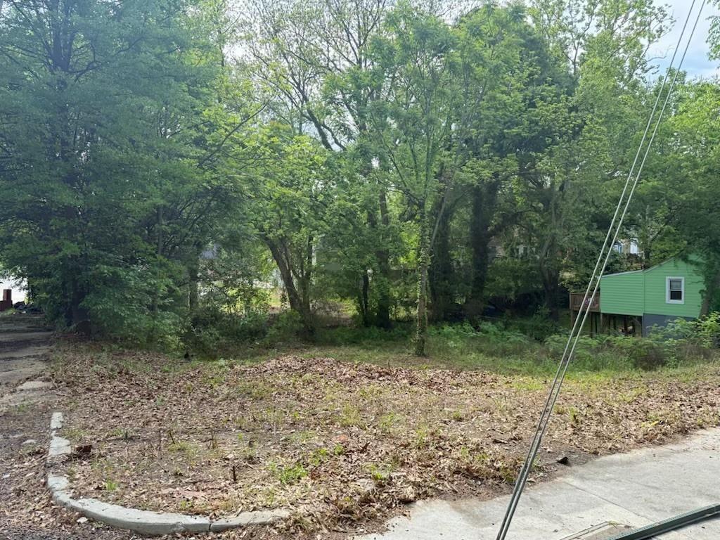 459 Paines Avenue Northwest Atlanta, GA 30318 - Photo 17 of 23 a view of a backyard