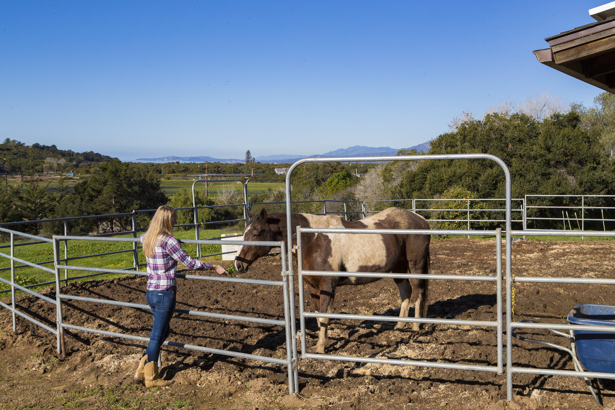 6855 Shepard Mesa Road Carpinteria, CA 93013 - Photo 31 of 34 Corral