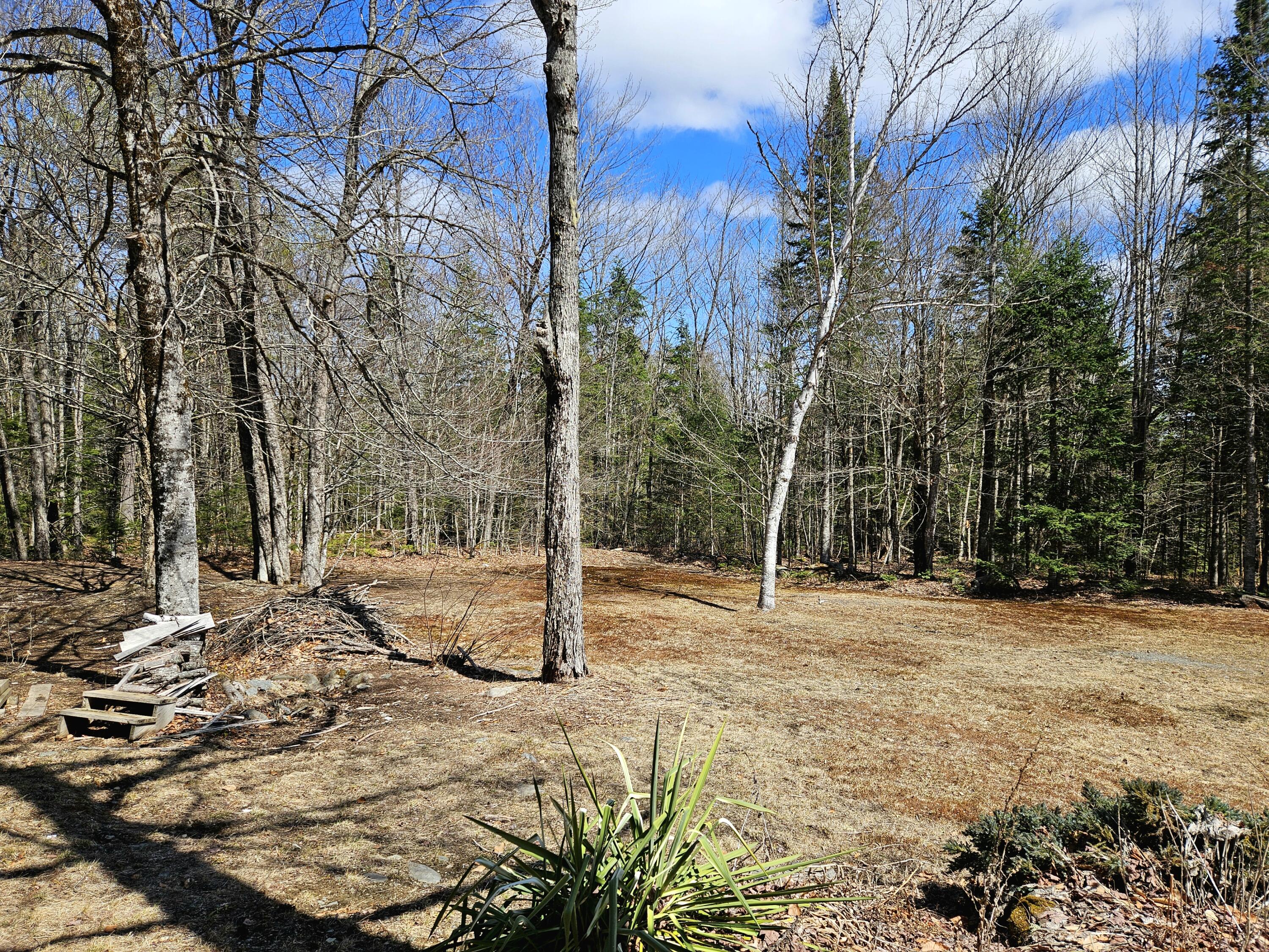 1757 East County Road Milo, ME 04463 - Photo 30 of 34 1000011894
