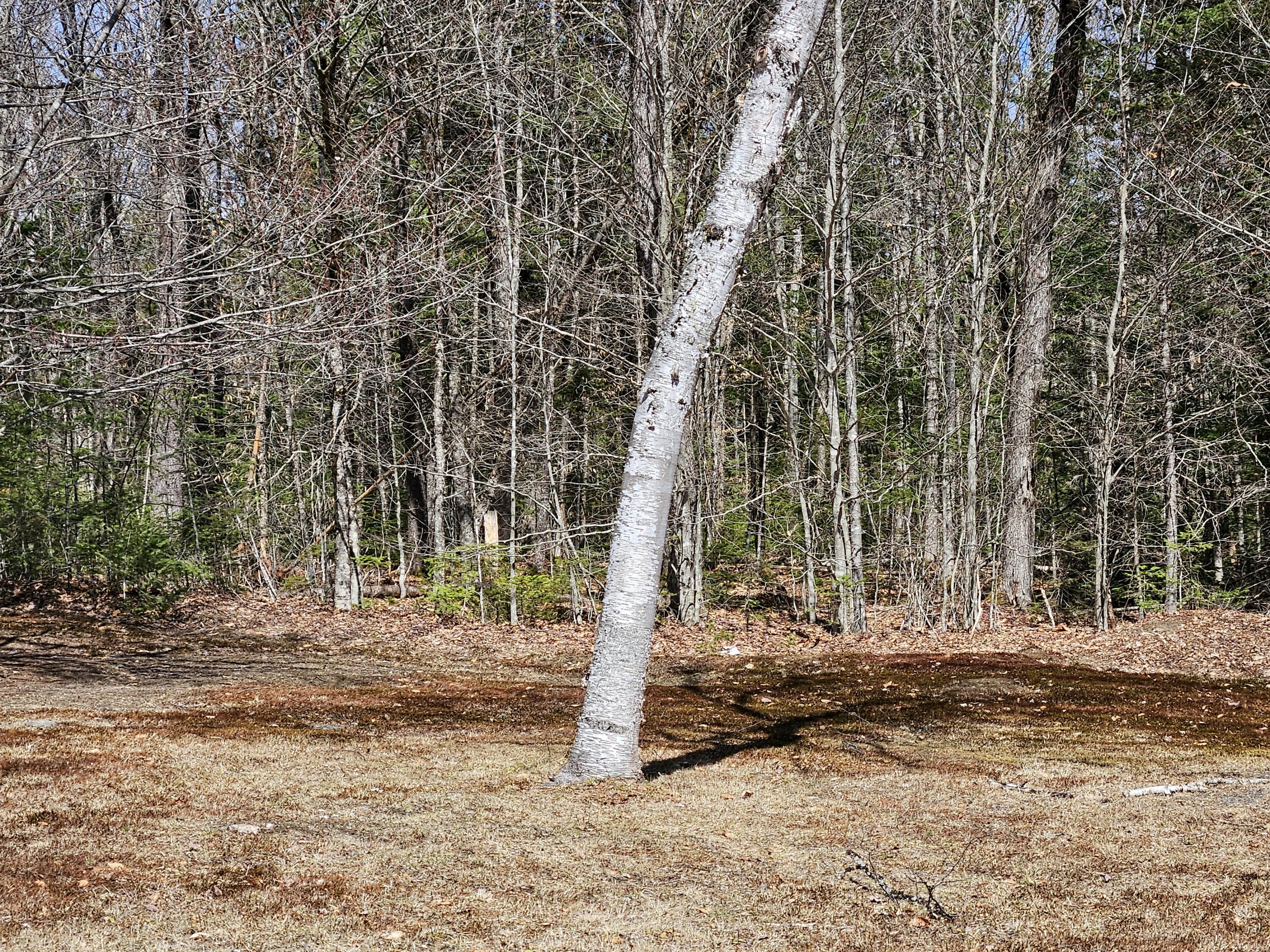 1757 East County Road Milo, ME 04463 - Photo 32 of 34 1000011901