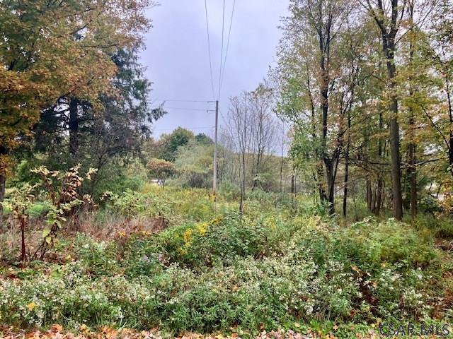 Pike Road Johnstown, PA 15909 - Photo 5 of 6
