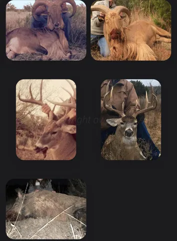 an aerial view of residential house and green space