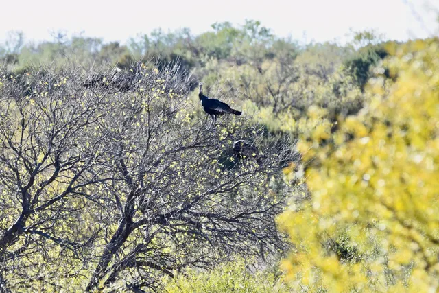 $1,769,400 | Undisclosed Address, Clarendon, TX 79226