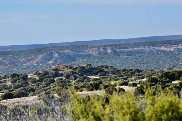 $1,769,400 | Undisclosed Address, Clarendon, TX 79226