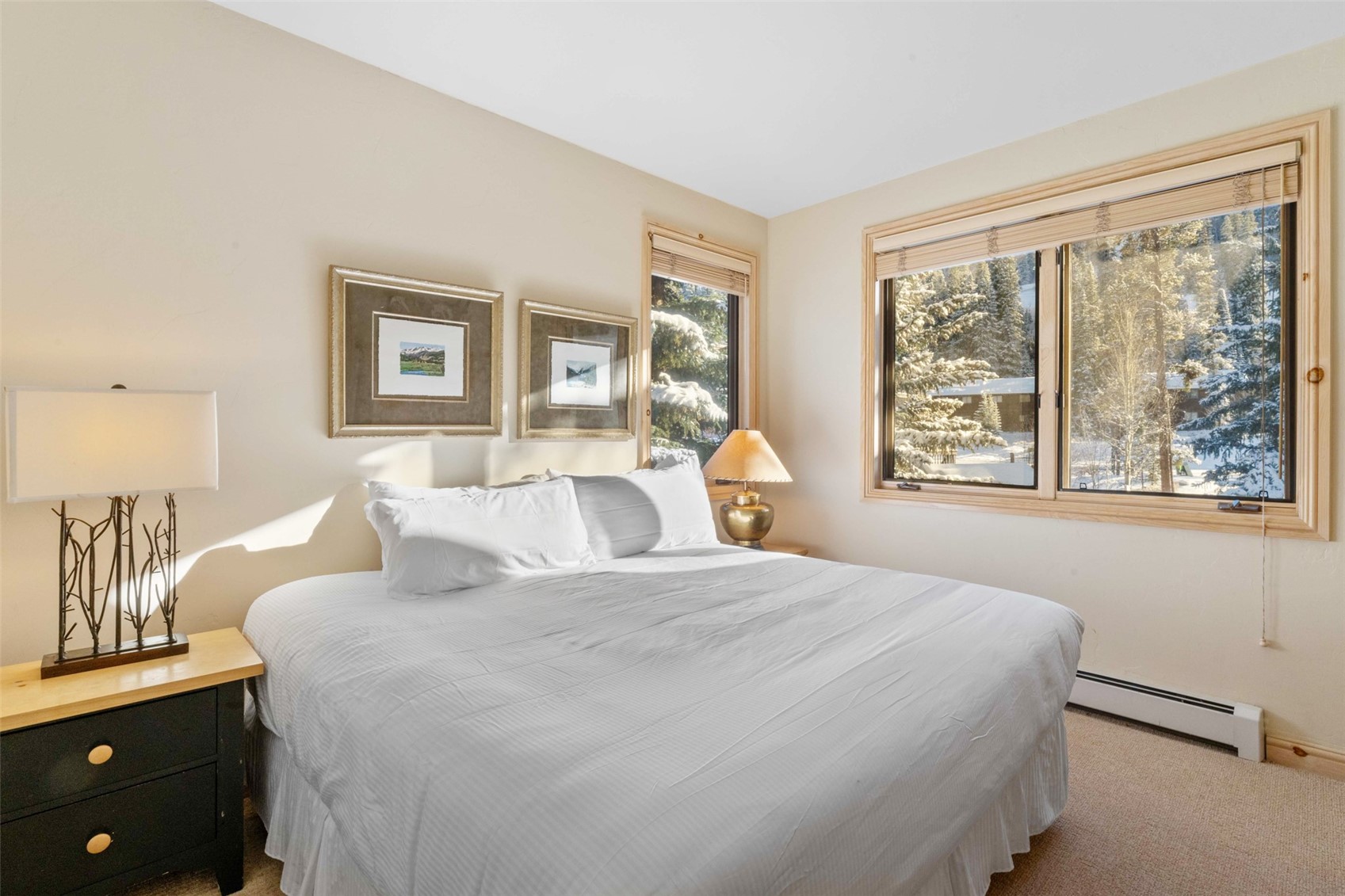 1459 East Keystone Road, Unit C1 Dillon, CO 80435 - Photo 22 of 27 Gallery Image 22