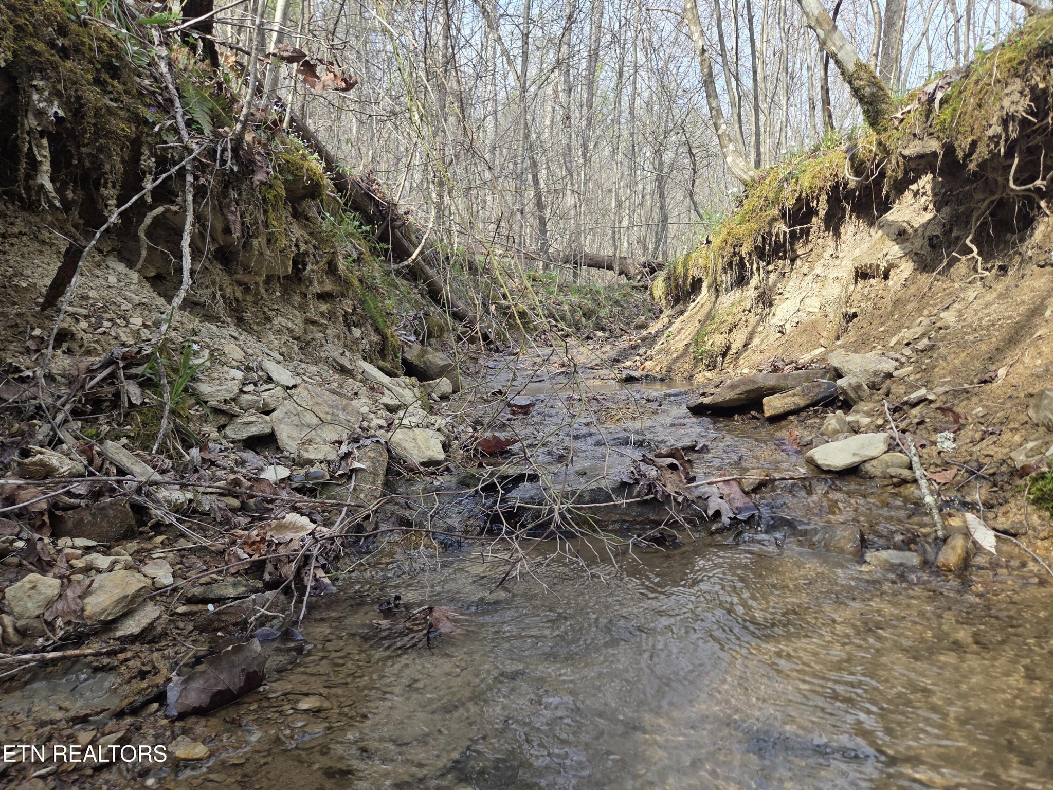 0 Grassy Knob Road Robbins, TN 37852 - Photo 18 of 25 Gallery Image 18