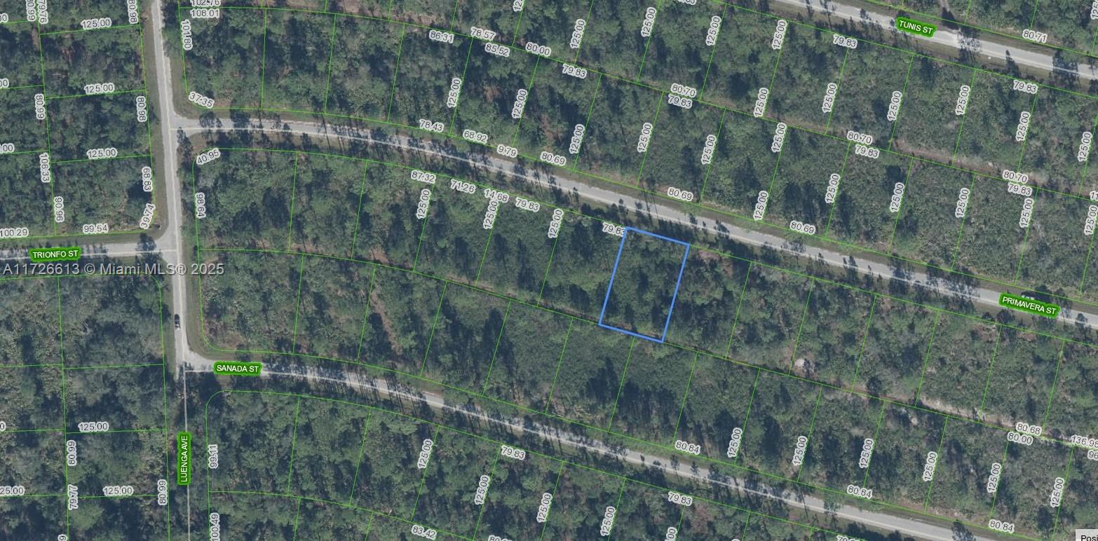 8637 Primavera Street Sebring, FL 33872 - Photo 2 of 27 a view of a forest