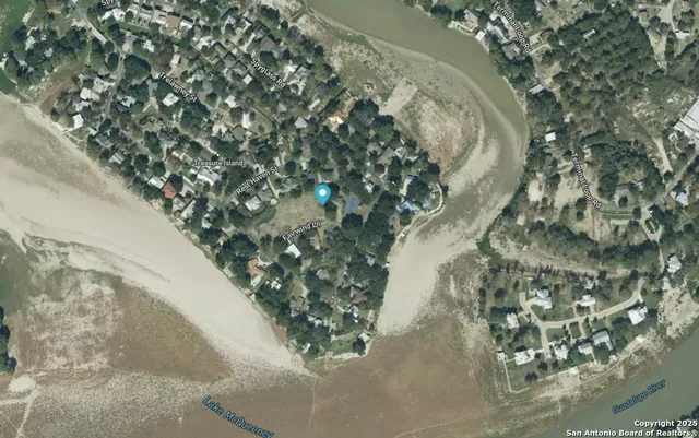 a close up of a plant in a granite