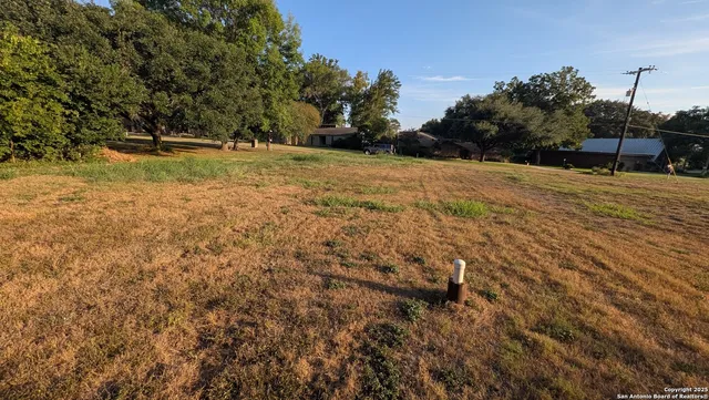 a view of a yard with trees