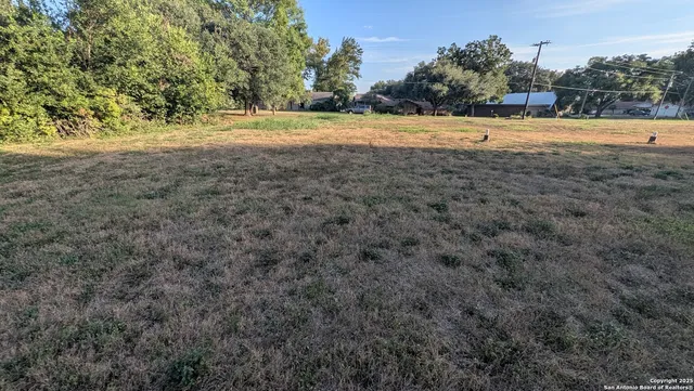 a view of yard with large trees