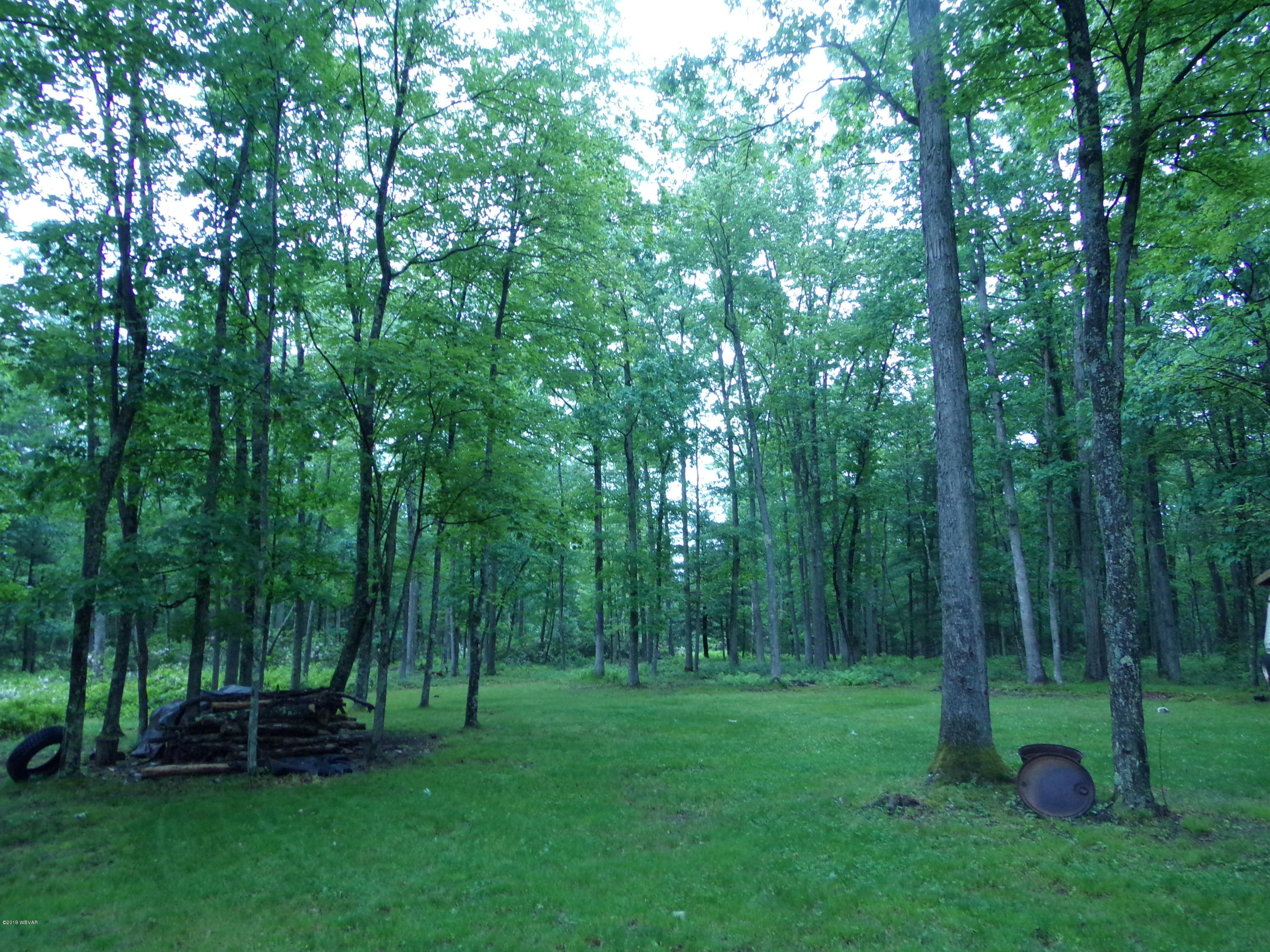 285 Hickory Ridge Road Mill Hall, PA 17751 - Photo 18 of 31 123_5462