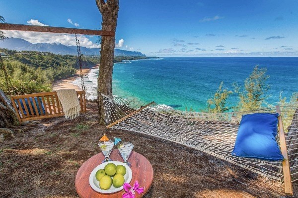 3620 Kilauea Road Kilauea, HI 96754 - Photo 12 of 24