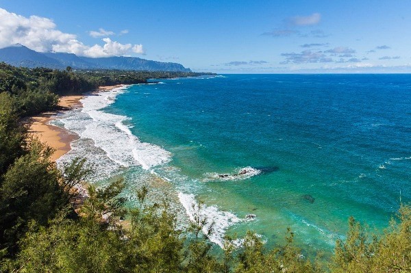 3620 Kilauea Road Kilauea, HI 96754 - Photo 13 of 24