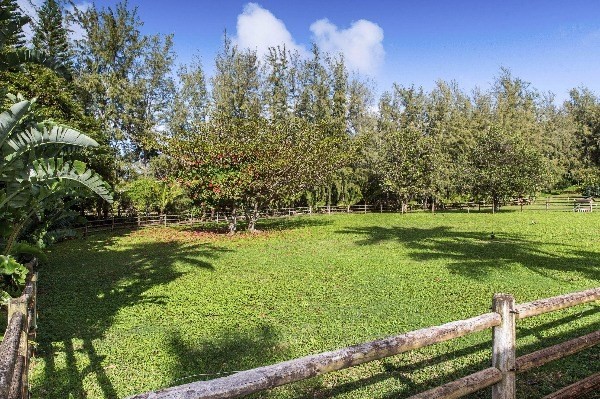 3620 Kilauea Road Kilauea, HI 96754 - Photo 21 of 24