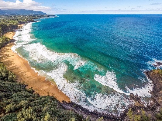 3620 Kilauea Road Kilauea, HI 96754 - Photo 23 of 24