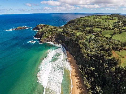 3620 Kilauea Road Kilauea, HI 96754 - Photo 24 of 24