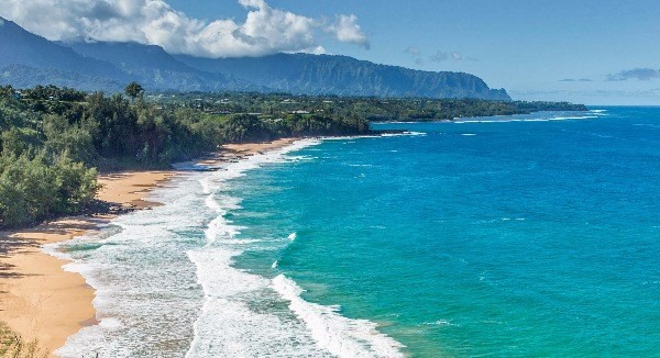 3620 Kilauea Road Kilauea, HI 96754 - Photo 3 of 24