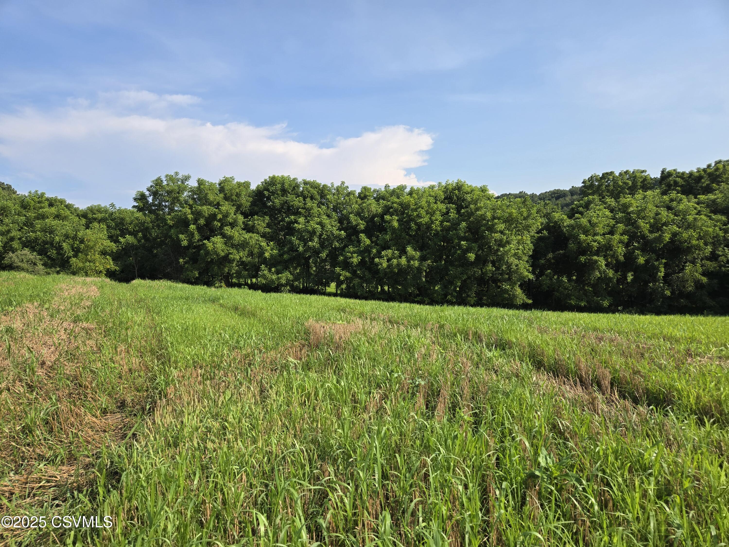 Mowery Road Danville, PA 17821 - Photo 13 of 17 Gallery Image 13