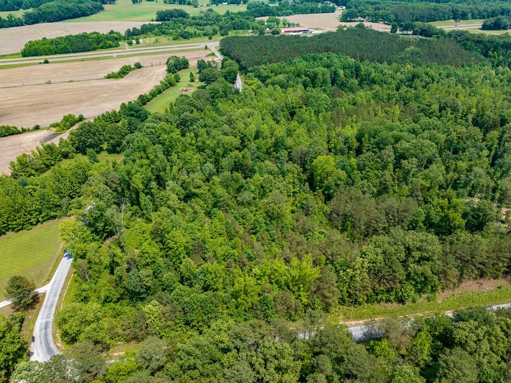 0 Hwy 22 & Carnal Road Huntingdon, TN 38344 - Photo 5 of 8 an aerial view of residential house with outdoor space and trees around