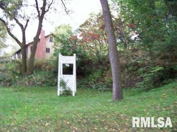 311 East Rapp Street Mount Carroll, IL 61053 - Photo 18 of 23 Gallery Image 18