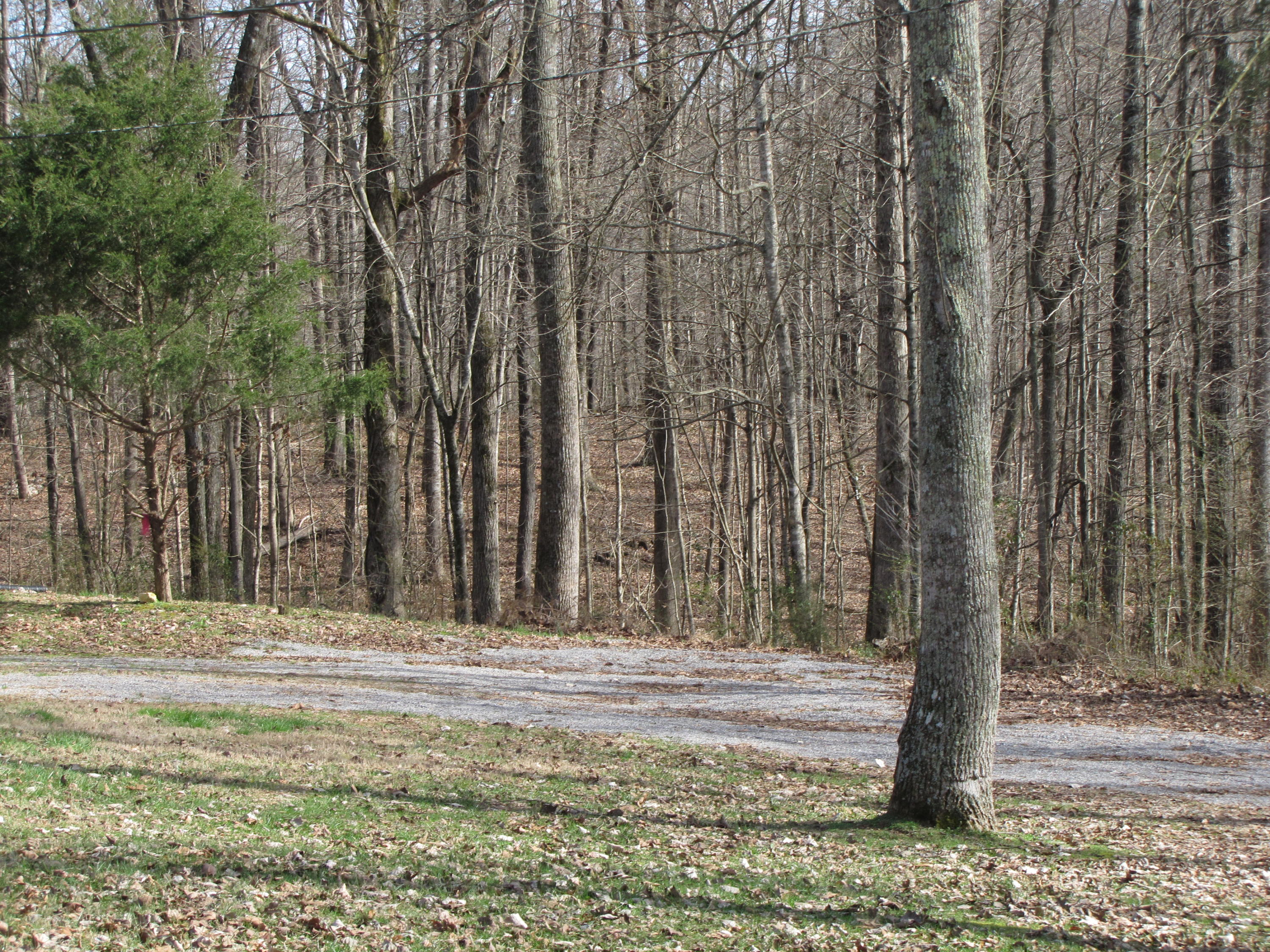 131 Duff Road Lenoir City, TN 37771 - Photo 24 of 31 IMG_1268