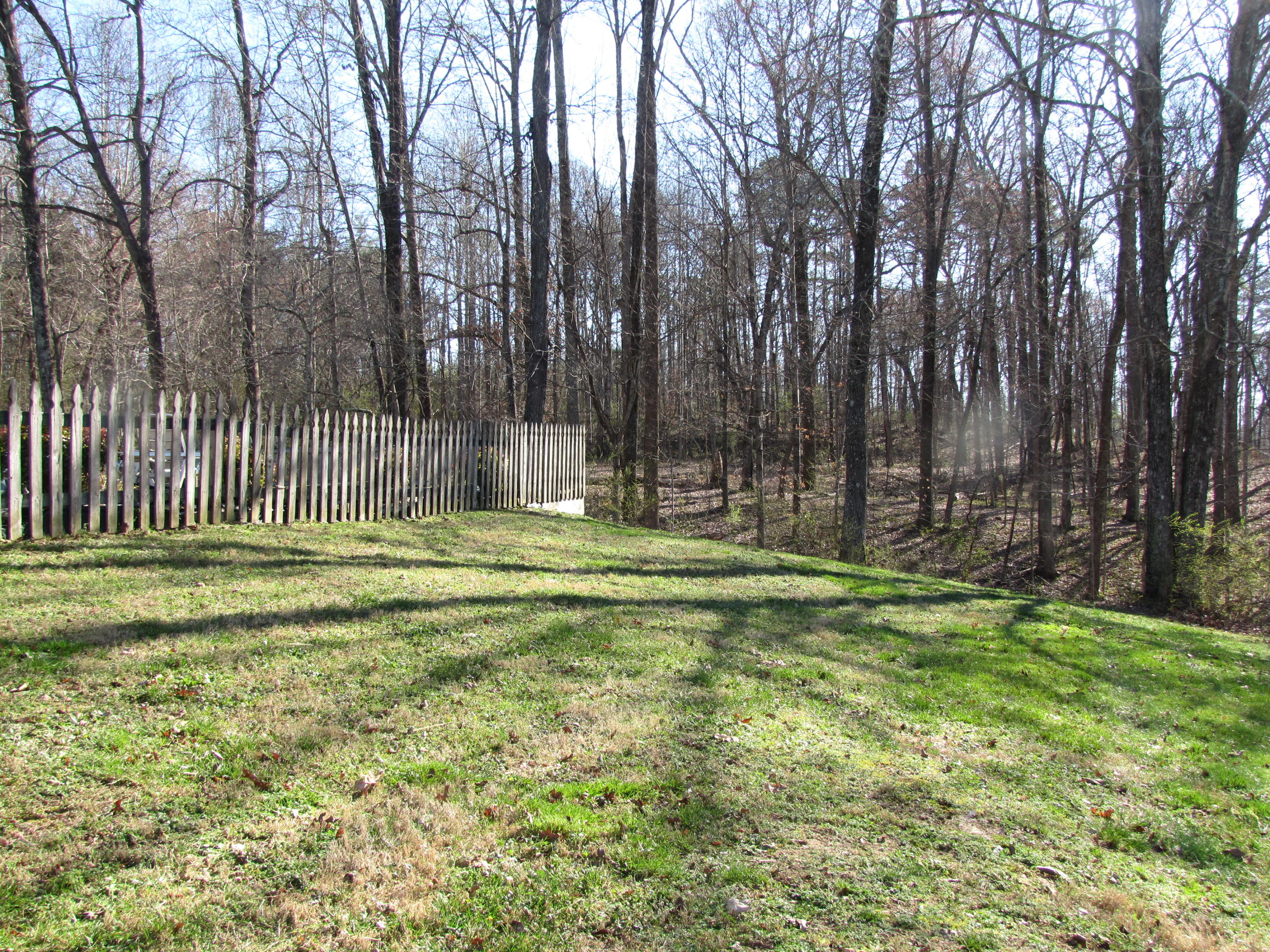 131 Duff Road Lenoir City, TN 37771 - Photo 26 of 31 IMG_1288